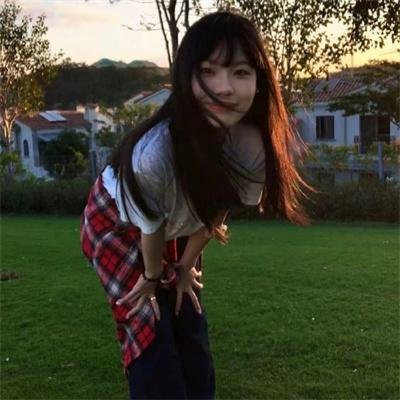 蜘蛛与郁金香